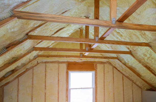 Best Eco-Friendly Insulation in Buellton, CA