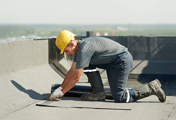 Best Specialized Insulation Services in Buellton, CA
