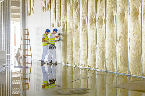 Best Commercial Insulation in Buellton, CA